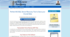 Desktop Screenshot of perfect.mssqlserverrecovery.net